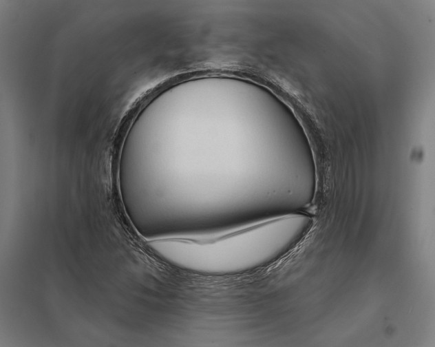 X0000097751214200803281602