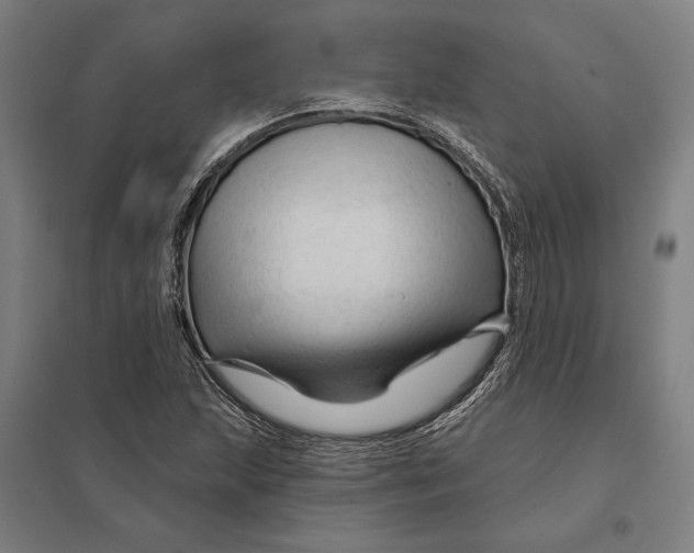 X0000097751215200803281602