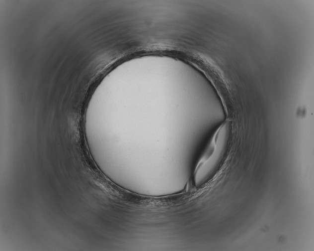 X0000097751217200803281602