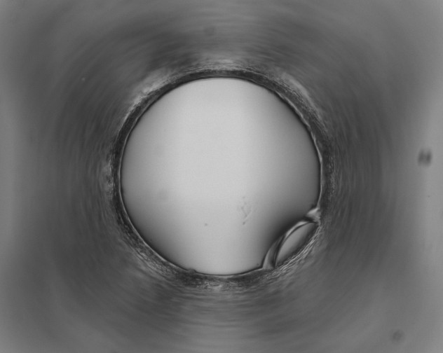 X0000097751218200803281602