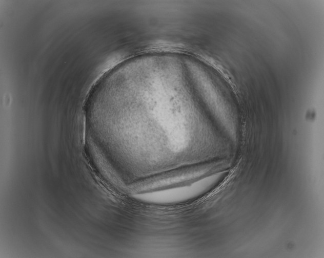 X0000097751219200803281602