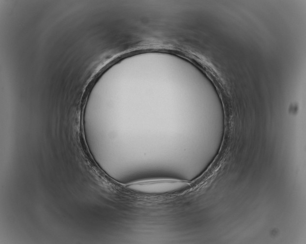 X0000097751220200803281602