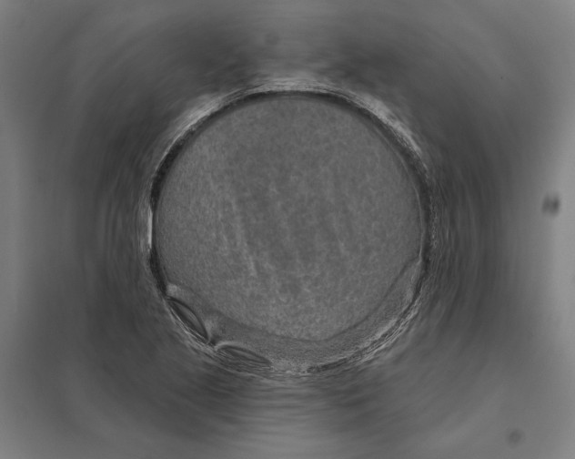 X0000097751221200803281602