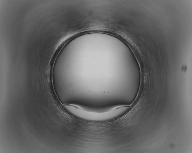 X0000097751222200803281602