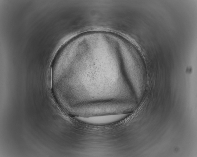 X0000097751223200803281602