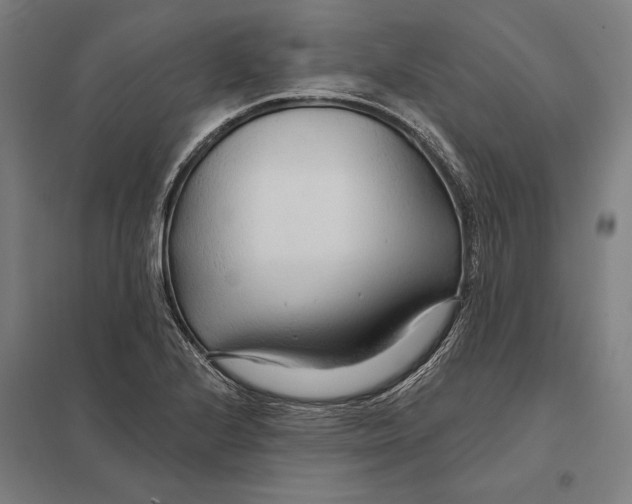 X0000097751224200803281602