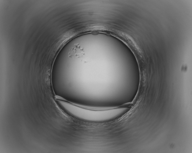 X0000097751225200803281602