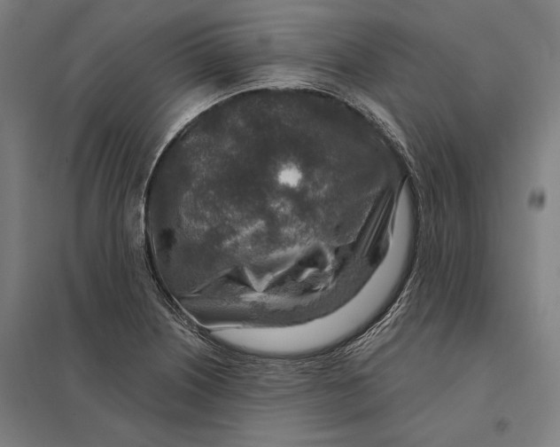 X0000097751226200803281602