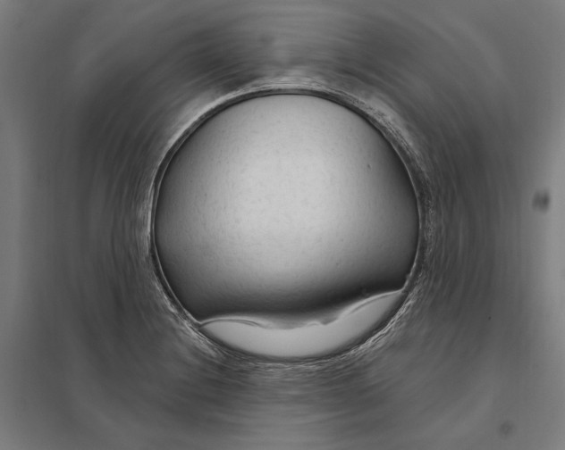 X0000097751228200803281602