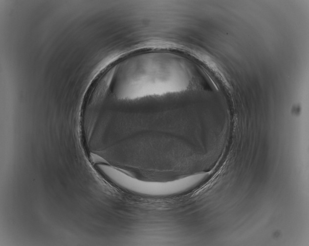 X0000097751229200803281602