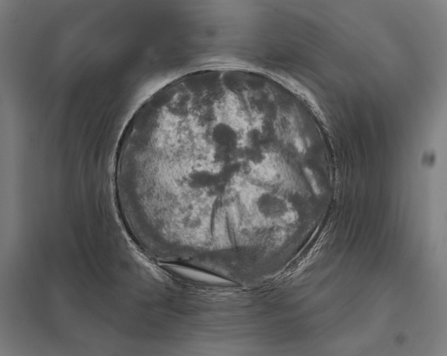 X0000097751231200803281602