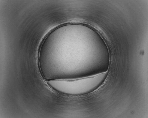 X0000097751232200803281602