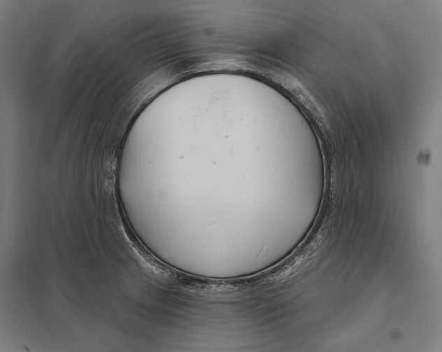 X0000097751233200803281602