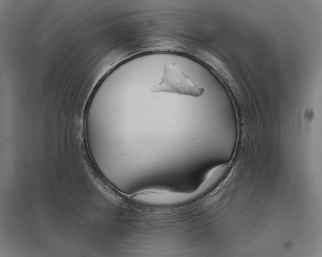 X0000097751234200803281602