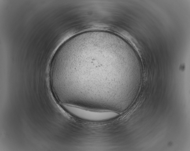 X0000097751235200803281602