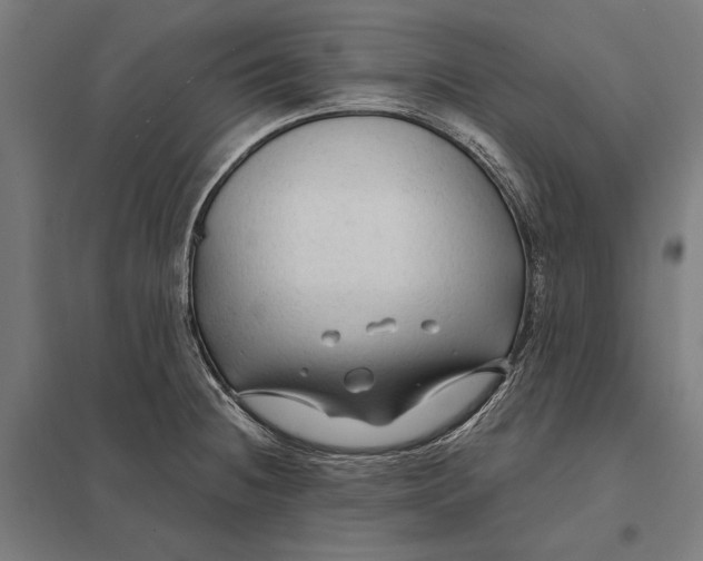 X0000097751236200803281602