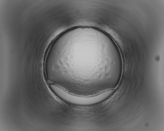 X0000097751237200803281602