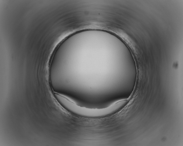 X0000097751238200803281602