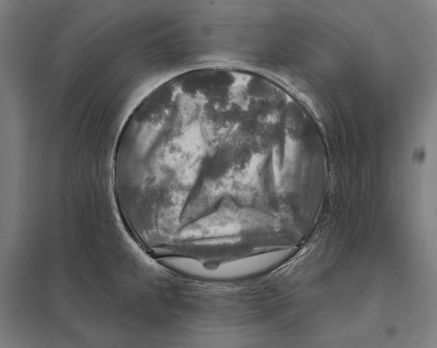 X0000097751239200803281602