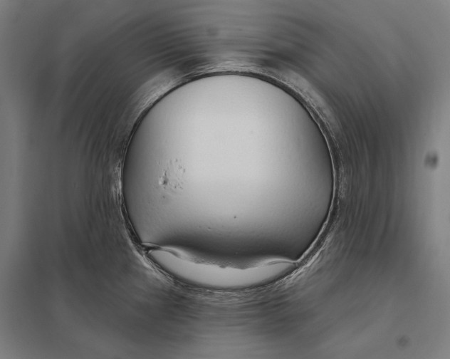 X0000097751241200803281602