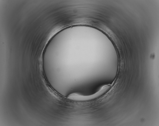 X0000097751242200803281602