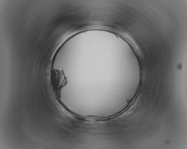 X0000097751244200803281602