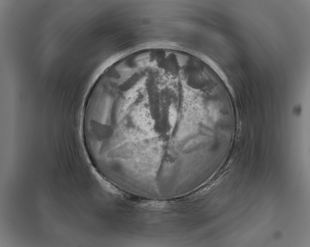 X0000097751245200803281602