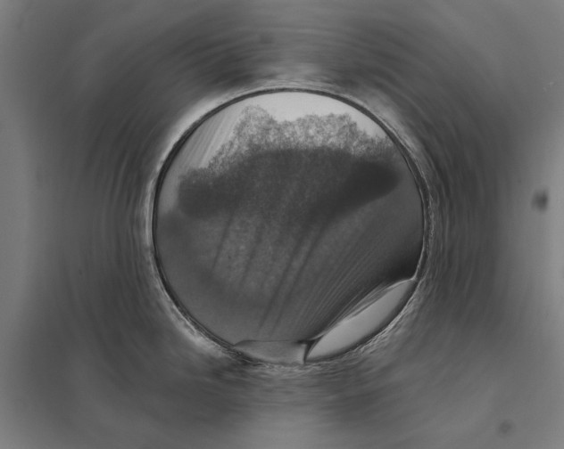 X0000097751246200803281602