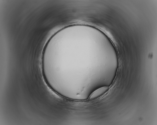 X0000097751247200803281602