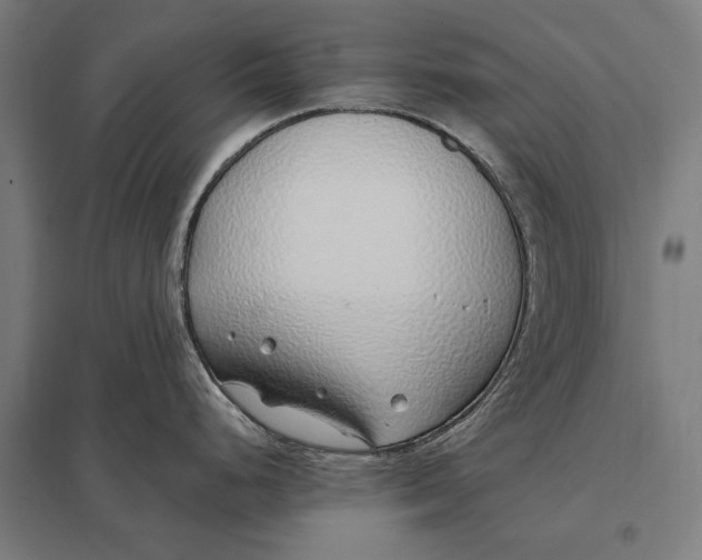 X0000097751248200803281602