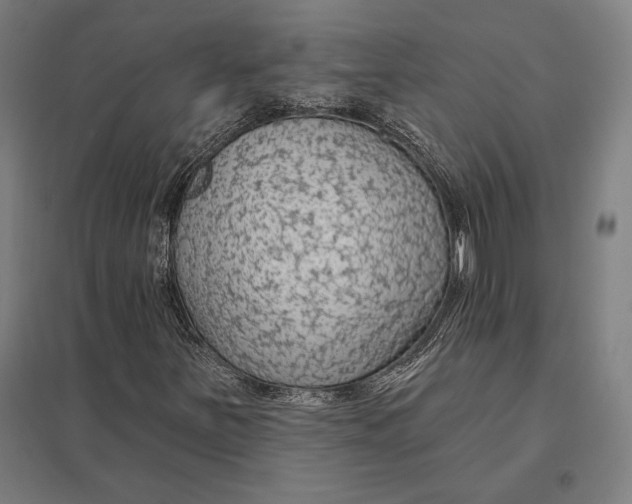 X0000097751251200803281601