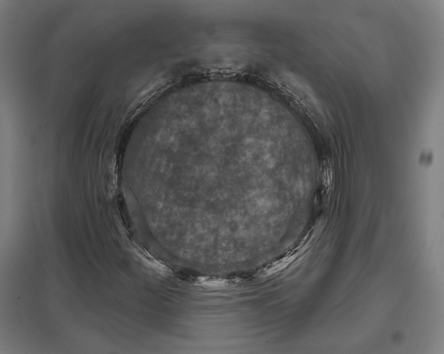 X0000097751252200803281601