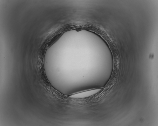 X0000097751253200803281601