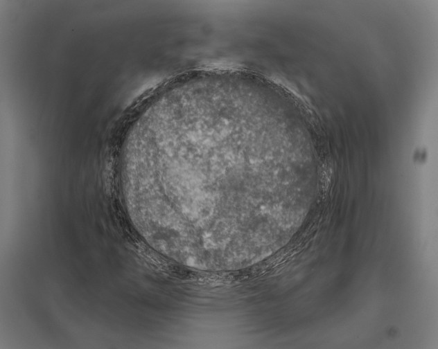 X0000097751254200803281601