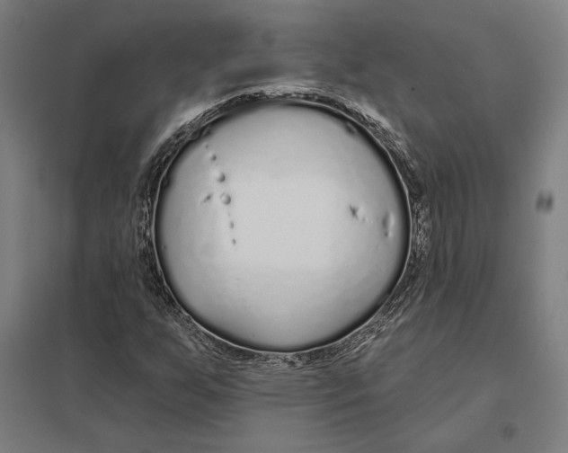 X0000097751255200803281601