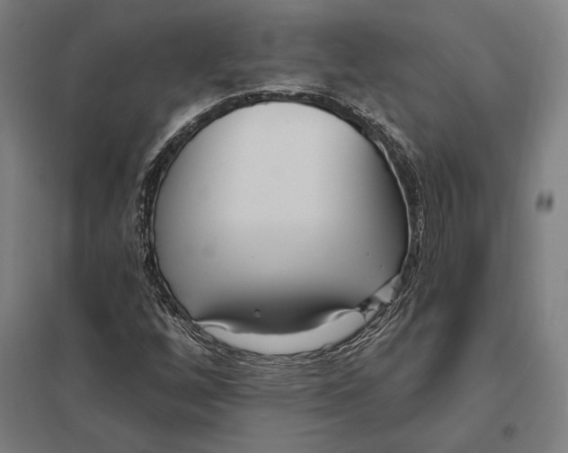 X0000097751256200803281601