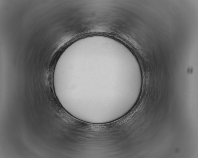 X0000097751258200803281601