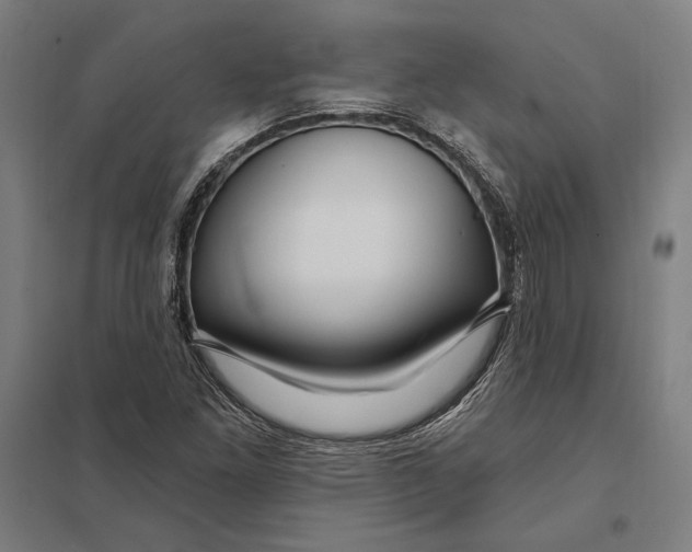 X0000097751261200803281601