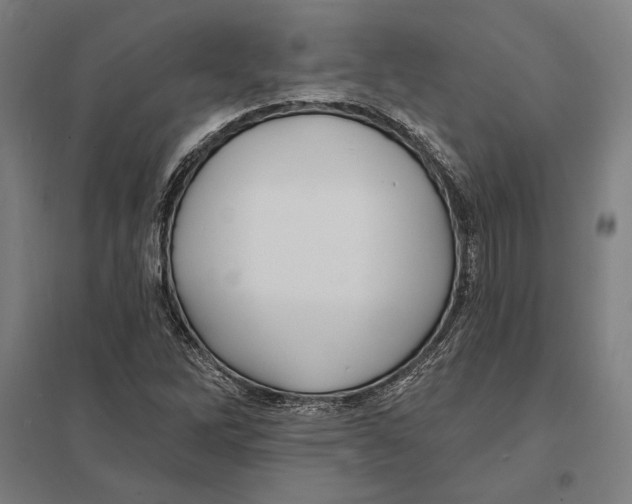 X0000097751262200803281601