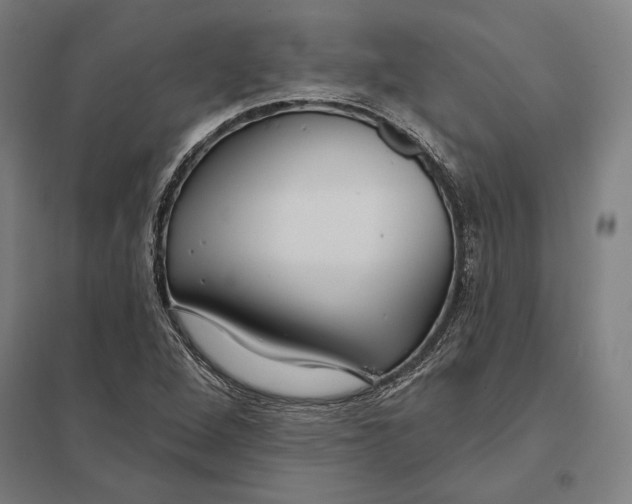 X0000097751264200803281601