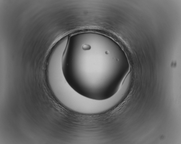 X0000097751266200803281601