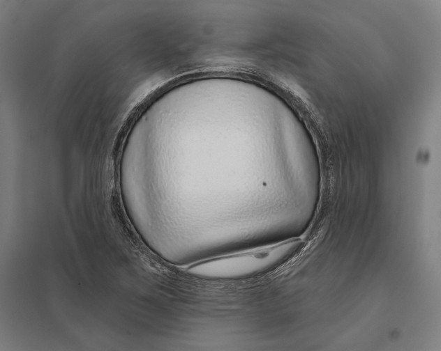 X0000097751267200803281601