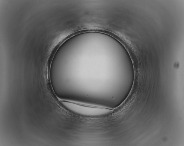 X0000097751269200803281601