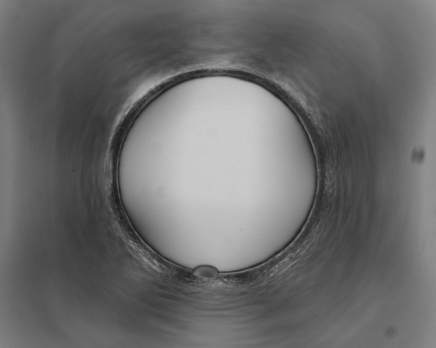 X0000097751270200803281601