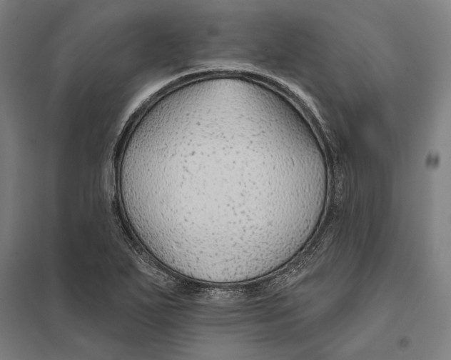 X0000097751271200803281601