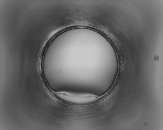 X0000097751272200803281601