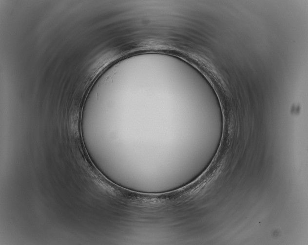 X0000097751273200803281601