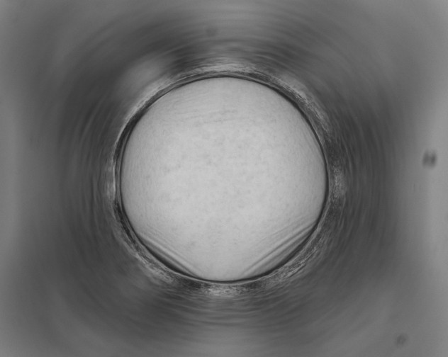 X0000097751274200803281601