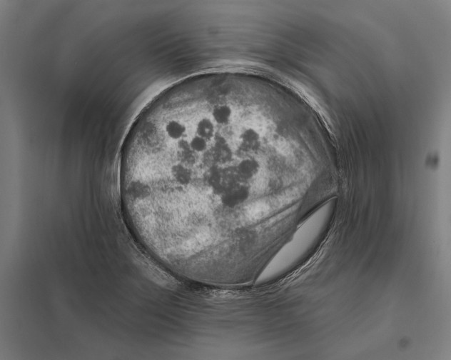 X0000097751275200803281601