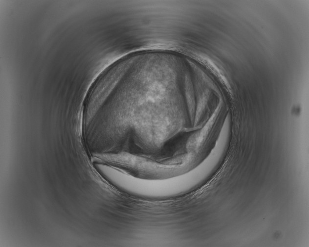 X0000097751276200803281601